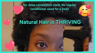 Only using a leavein conditioner for a year No deepregular conditioner hair haircare natural [upl. by Nylorahs]