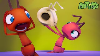 Trapped in the Slippery Plant  Antiks 🐜  Funny Cartoons for Kids [upl. by Ytsihc]