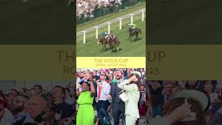 That feeling when you watch Frankie Dettori win the Gold Cup 😮‍💨  Shorts [upl. by Salohcin]