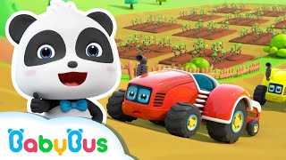 Tractorașele vin în ajutor 🚜 Cântece pentru copii de Grădiniță  BabyBus [upl. by Terese]