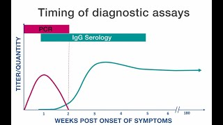 Rickettsial Disease Diagnostic Testing and Interpretation [upl. by Aan]