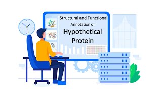 In Silico Structural and Functional Annotation of Hypothetical Protein Full Project Bangla Tutorial [upl. by Scrivings]