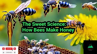 The Sweet Science How Bees Make Honey [upl. by Anoirb]