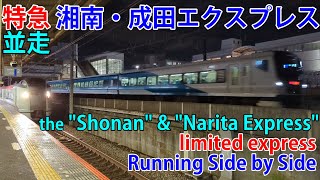 特急「湘南」と「成田エクスプレス」の並走 the quotShonanquot amp quotNarita Expressquot limited express Running Side by Side 東戸塚駅 [upl. by Gefell346]