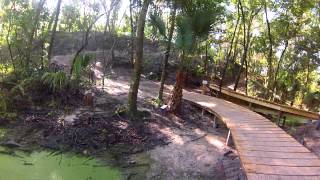 Alafia River State Park Mountain Bike Trails [upl. by Anatollo]