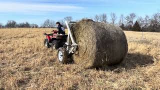 20240221 new bale for the cows it is a very warm February [upl. by Anirpas]