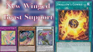 Swallows Cowrie Harpies February 2024  Yugioh Deck Showcase [upl. by Aifos]