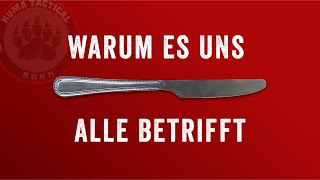 Der neue Waffengesetz Entwurf in 10 Minuten Alles was du wissen musst [upl. by Ainslie]