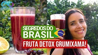 Suco detox PANCS de GRUMIXAMA  Descubra este segredo brasileiro [upl. by Coucher]