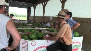 Produce Auction In Lancaster County [upl. by Aimal]