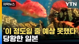 자막뉴스 일본 오염수 방류에 중국에서 나타난 현상中 당국 quot이성적으로quot 공지  YTN [upl. by Acinna]