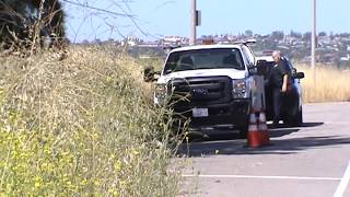 Homeless encampments and the Canoga Speedway [upl. by Lipsey157]