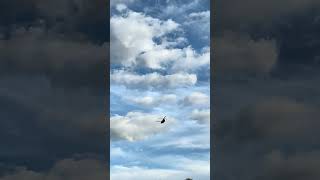 Chinook in Western North Carolina [upl. by Faso]