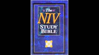 The Book of Haggai NIV Audio Bible Non Dramatized [upl. by Eiryk]