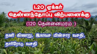 120 Acre Coconut 🥥 Farm Land Sale 🌴 For Salem Near 45Km distance [upl. by Claudine]