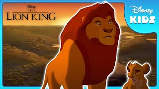 The Lion King Long live the king [upl. by Aiduan]