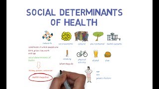 What Makes Us Healthy Understanding the Social Determinants of Health [upl. by Lothaire]