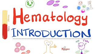 Hematology  Introduction  Hematopoiesis Lets Make RBCs WBCs and Platelets Hematology Playlist [upl. by Eibbed]