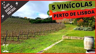 TOP 5 Vinícolas próximas a Lisboa  Como chegar quanto custa e mais [upl. by Llerad]