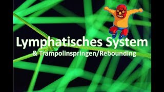 Das lymphatische System Lymphsystem  Rebounding  TrampolinTraining  BSPT [upl. by Ataner]