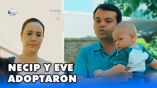 Dulce Venganza español  Necip y Eve adoptaron  Sección 47 [upl. by Aman]