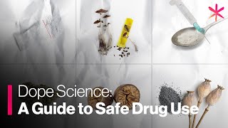 The Drug Users Bible A Guide to Safe Drug Use [upl. by Tades]