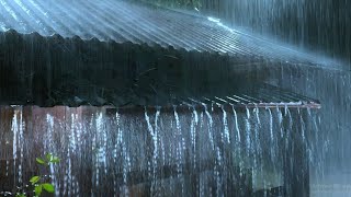 🔴 Rain on tin roof to sleep 247 heavy rain and thunder on metal roof at night [upl. by Zurc]