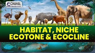 Difference Between Habitat Niche Ecotone amp Ecocline for IASUPSC CSE Environment Simplified [upl. by Carmelle]