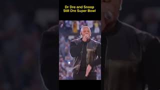 Snoop Dogg And Dr Dre Perform At The Super Bowl [upl. by Opalina990]