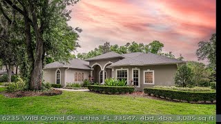 6235 Wild Orchid Dr Lithia FL 33547 [upl. by Nahsyar]