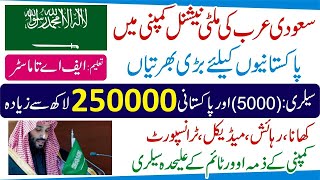 Saudi Arabia Job Visa for Pakistani 2024  Work Visa For Saudi Arabia From Pakistan  OEC KSA Jobs [upl. by Teddi]