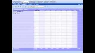 Introduction to Standard Time® Timesheet [upl. by Licht327]