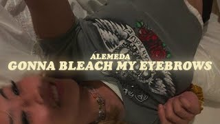 gonna bleach my eyebrows lyrics alemeda [upl. by Irbua]