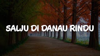 Exist Mega MAY  Salju Di Danau Rindu Bayangan Gurauan Sendiri Lyrics [upl. by Jedthus]