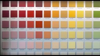 SIKKENS  COLOUR WALL [upl. by Leanora]