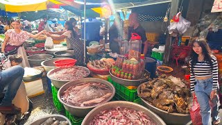 Cambodia Market Walk Show Planty Of Fresh Vegetable Alive Fish Pork Seafood Fruit amp More [upl. by Irv418]