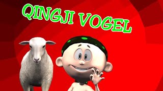 QINGJI VOGEL  Kenge per femije Shqip  Little Lamb song for children  Macoku TV [upl. by Adnaram]