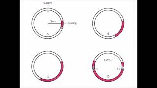 Caloric testing mechanism of caloric nystagmus [upl. by Anauqat]