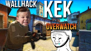 Der Wallhack Kek ist back  CSGO Overwatch Community [upl. by Ellatnahc946]