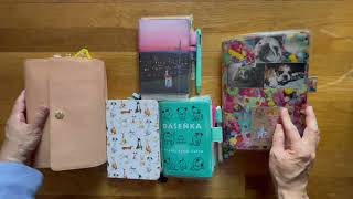 Hobonichi A6 Weekly Supplement A6 Techo A5 HON TN Cousin  July Flip Through 2024 [upl. by Maxey]