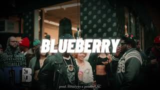 FREE Cash Cobain x Vontee The Singer x Chow Lee x Bay Swag type beat “BLUEBERRY” [upl. by Wesla]