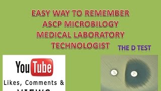 The Diffusion test D test Easy way to remember Microbilogy ASCP [upl. by Lux656]