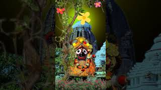 Jagannath Bhajan Anuradha Paudwal Odia Bhajan Shorts Ytshorts Tranding [upl. by Geraint467]