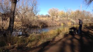 Fishing Boulder Creek and Sawhill Ponds [upl. by Alegnaoj822]