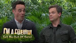 Lady C Flashes Ant amp Dec  Im A Celebrity Get Me Out Of Here [upl. by Lienad858]