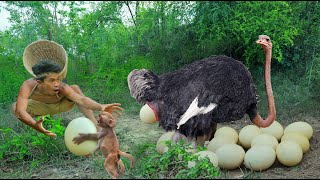 Use means with monkeys To deceive the ostrich  Cook Oatmeal Eggs for Monkeys to Eat [upl. by Truman409]