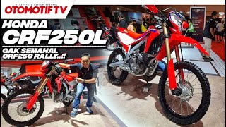 BARU HONDA CRF250L 2023 LEBIH MURAH DARI CRF250 RALLY l Otomotif TV [upl. by Lipps]