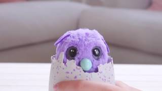 Hatchimals  Introducing Hatchimals Burtle  Only at Walmart [upl. by Sherborne]