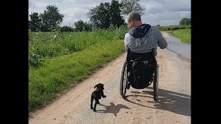 Lui  Assistenzhund in Ausbildung [upl. by Estrella]