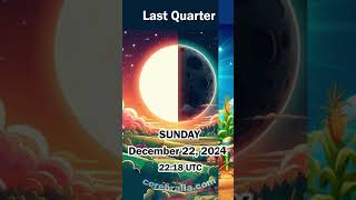 Lunar Calendar December 2024 shorts [upl. by Eyma]